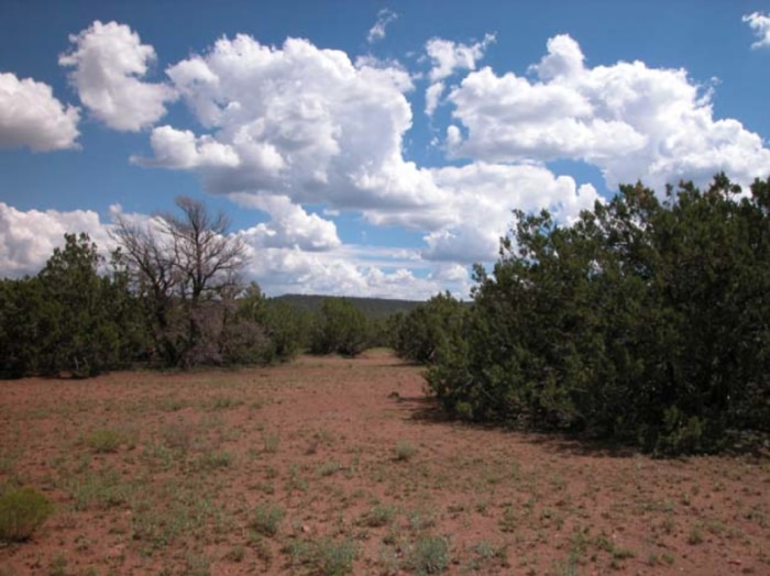 1.14 Acres, Concho Arizona, APN 107-12-501
