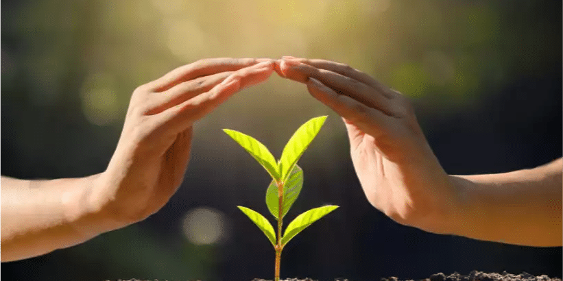 Are there any conservation easements on the property