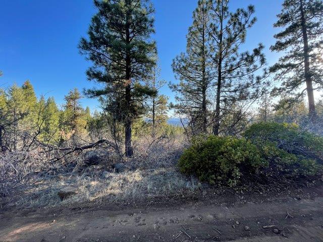 4.45 Acres, Bonanza OR, Parcel 02200 4.45 Acres, Klamath, Oregon R-3711-036A0-02200-000 - Image 8