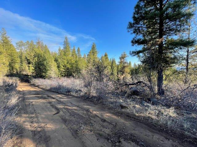 4.45 Acres, Bonanza OR, Parcel 02200 4.45 Acres, Klamath, Oregon R-3711-036A0-02200-000 - Image 7