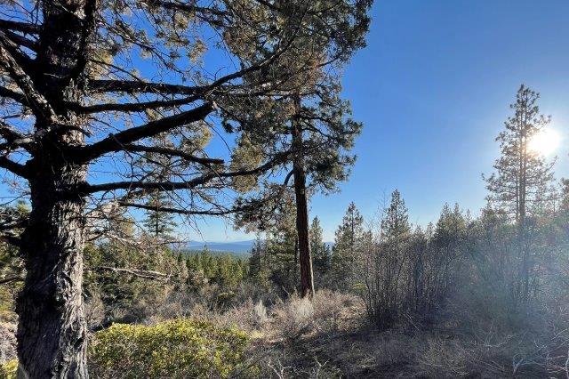 4.45 Acres, Bonanza OR, Parcel 02200 4.45 Acres, Klamath, Oregon R-3711-036A0-02200-000