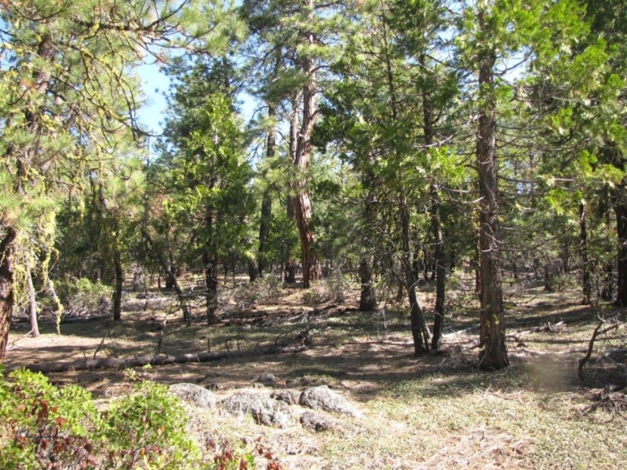 2.28 Acres, Bonanza Oregon, Parcel 05000 2.28 Acres, Klamath, Oregon R-3711-036C0-05000-000 - Image 5
