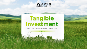 Tangible Investment – Best Definition and Examples (2024)