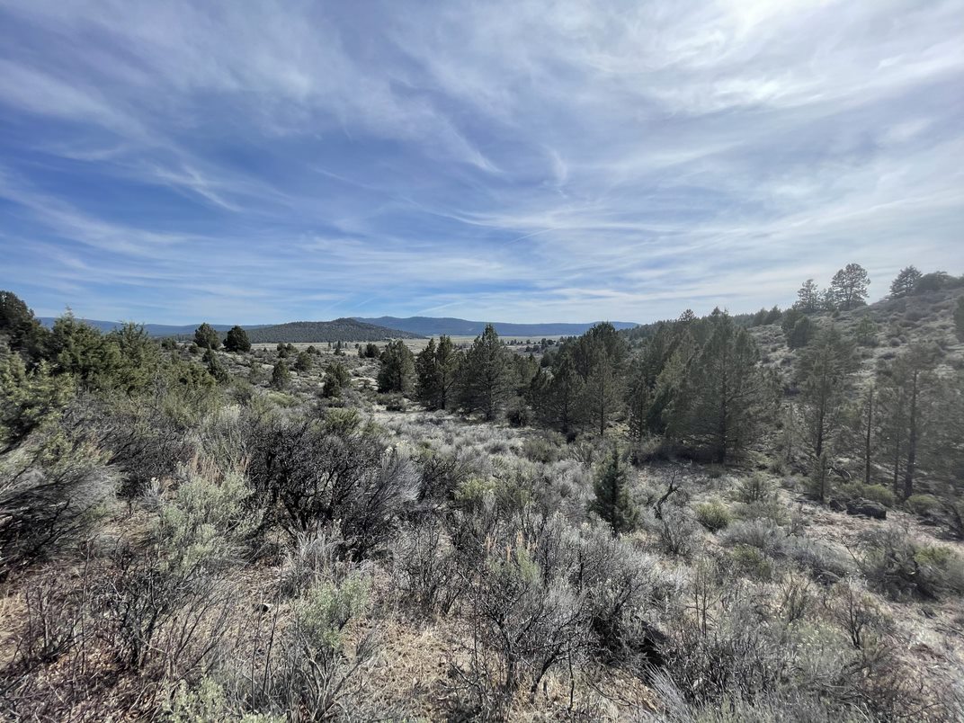 2.42 Acres, Chiloquin Oregon, Parcel 00400-000 2.42 Acres, Klamath, Oregon R-3510-013B0-00400-000 (R257144)