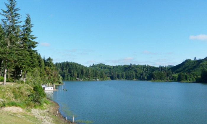 OR, Coos, 2.56 Acres 2.56 Acres, Coos, Oregon 1000168009 - Image 8