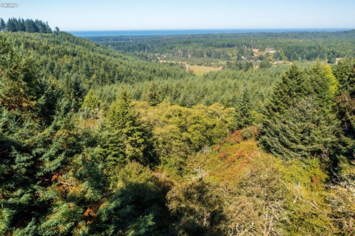 OR, Coos, 2.56 Acres 2.56 Acres, Coos, Oregon 1000168009