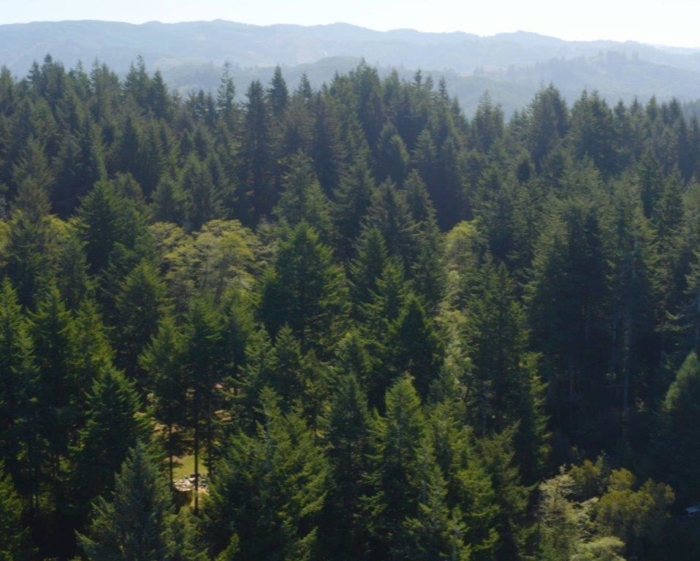 OR, Coos, 2.56 Acres 2.56 Acres, Coos, Oregon 1000168009 - Image 3