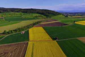 Land maps with property lines