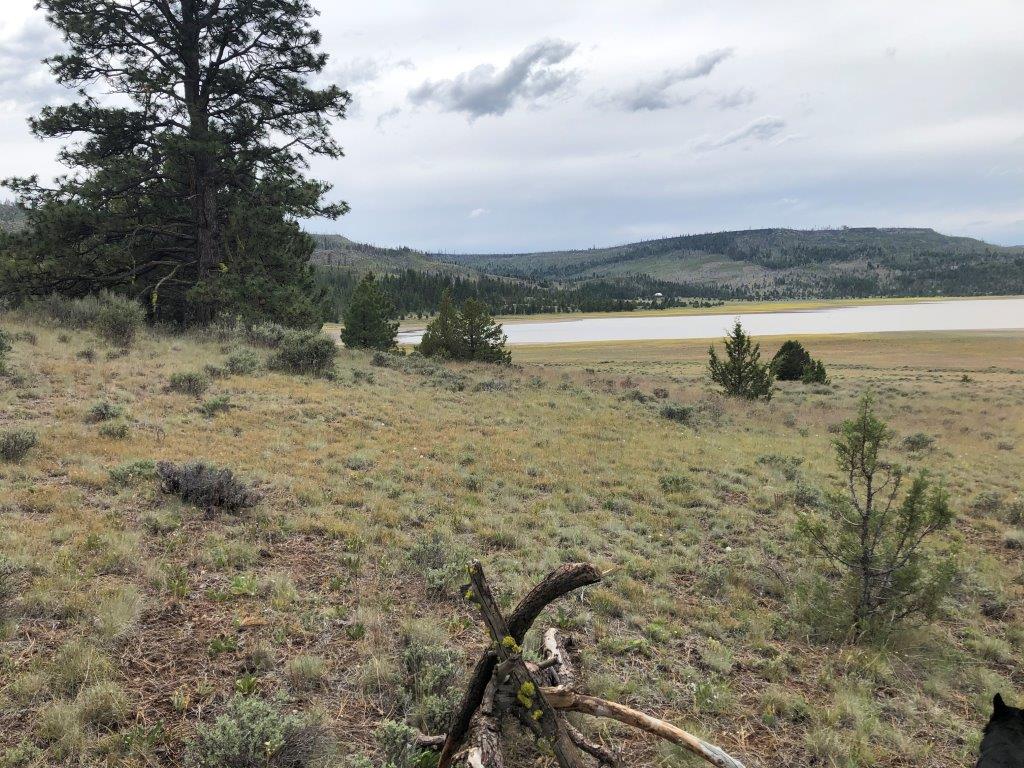 1.5 Acres, Lakeview OR, 15989 1.5 Acres, Lake, Oregon 41S18E00-00-02000, (15989)