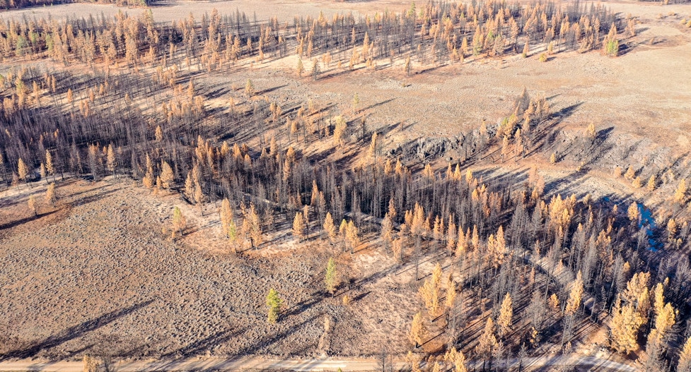 11.35 Acres, Chiloquin Oregon, Parcel 01100-000 11.35 Acres, Klamath, Oregon R-3313-02800-01100-000 - Image 2