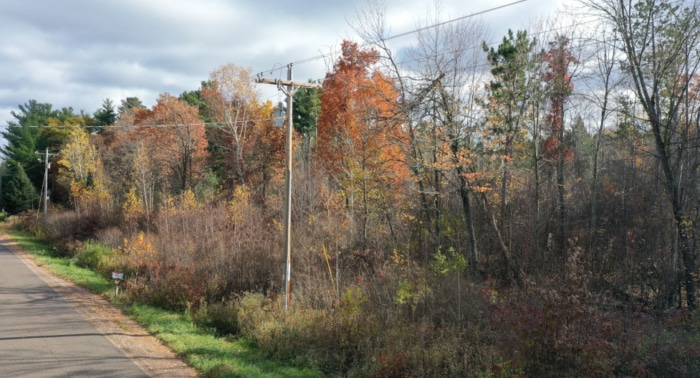1.73 Acres, Webster WI, 022000 - Image 2