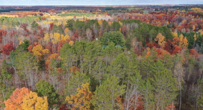 1.73 Acres, Webster WI, 022000 - Image 3