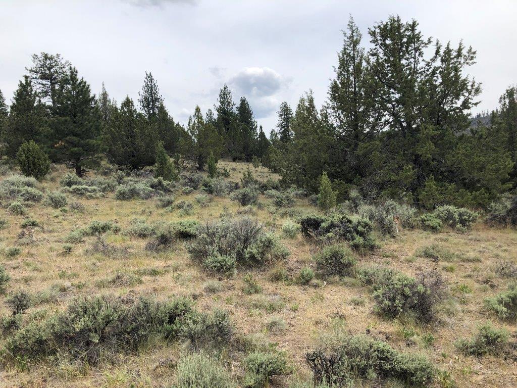 1.5 Acres, Lakeview OR, 15989 1.5 Acres, Lake, Oregon 41S18E00-00-02000, (15989) - Image 3