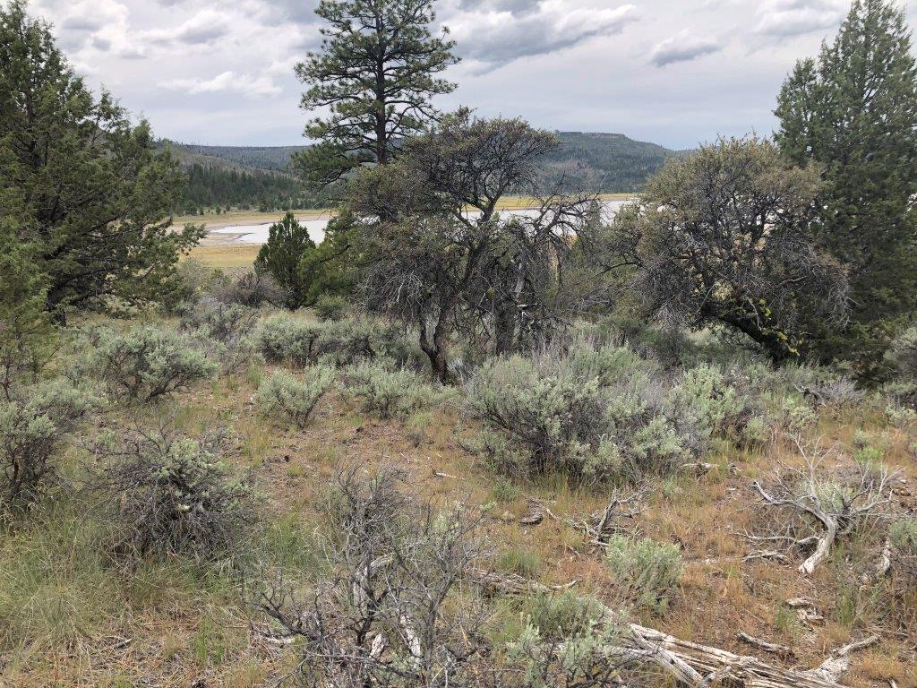 1.5 Acres, Lakeview OR, 15989 1.5 Acres, Lake, Oregon 41S18E00-00-02000, (15989) - Image 4
