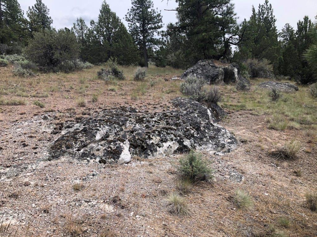 1.5 Acres, Lakeview OR, 15989 1.5 Acres, Lake, Oregon 41S18E00-00-02000, (15989) - Image 5