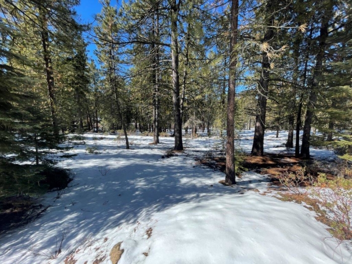 2.29 Acres, Klamath County, Oregon, 03400 2.29 Acres, Klamath, Oregon R-3711-015D0-03400-000 - Image 12