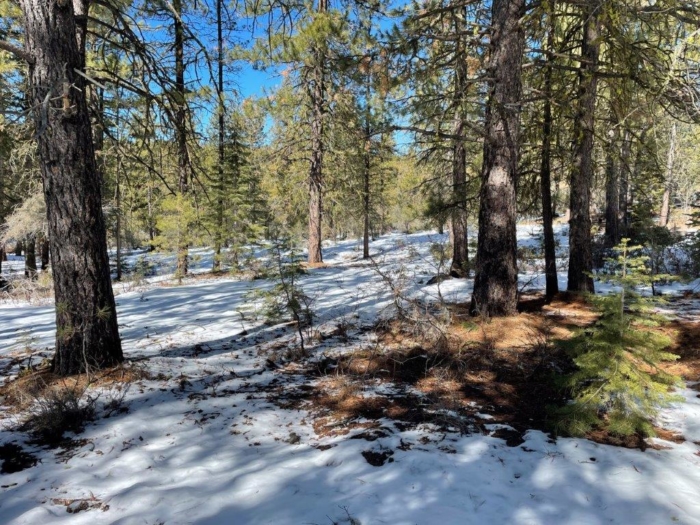 2.29 Acres, Klamath County, Oregon, 03400 2.29 Acres, Klamath, Oregon R-3711-015D0-03400-000 - Image 13