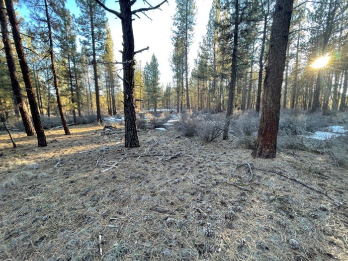 10 Acres, Klamath County, Oregon, R256234 - Image 8