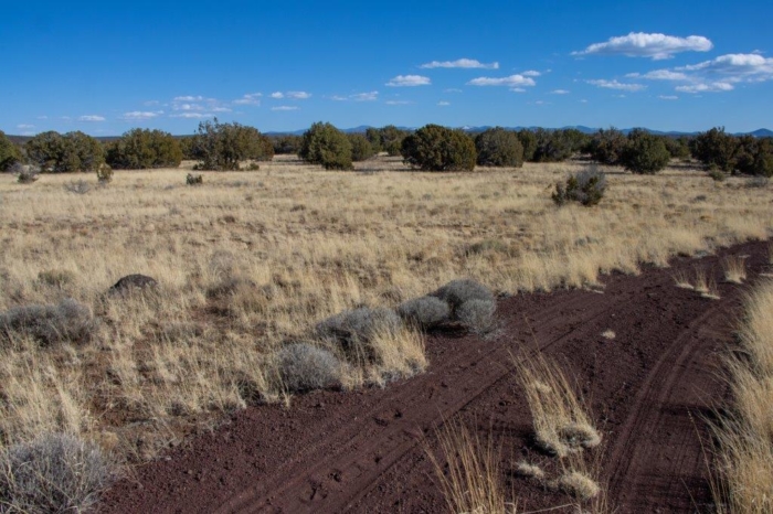 AZ, Apache, 20.36 Acres, 034b 20.36 Acres, Apache, Arizona 107-51-034b