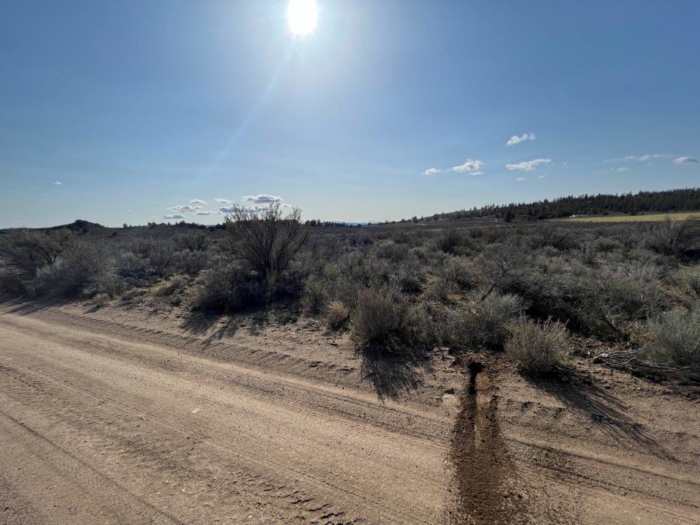 3.46 Acres, Klamath County, Oregon, R354529 3.46 Acres, Klamath, Oregon R354529 - Image 2