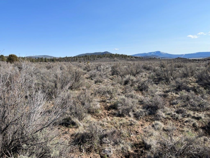 3.46 Acres, Klamath County, Oregon, R354529 3.46 Acres, Klamath, Oregon R354529 - Image 4