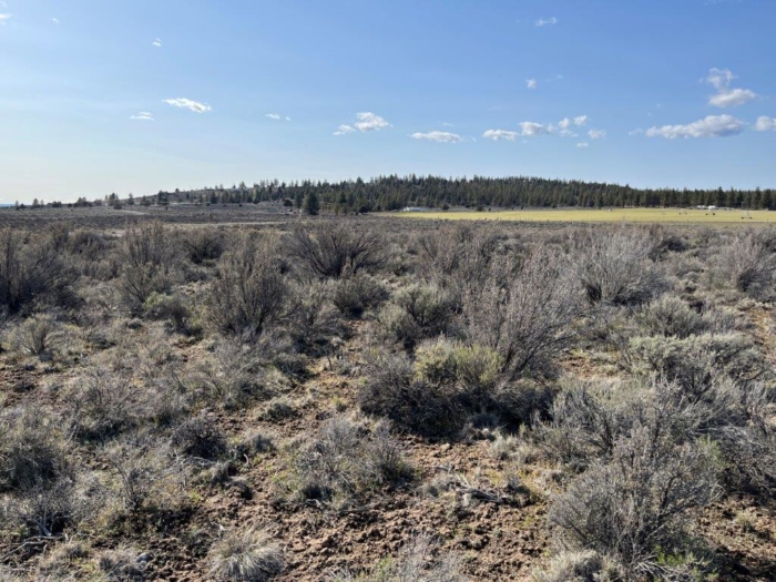 3.46 Acres, Klamath County, Oregon, R354529 3.46 Acres, Klamath, Oregon R354529 - Image 5