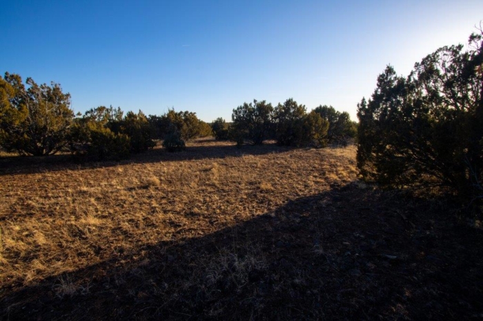 AZ, Apache, 20.36 Acres, 034b 20.36 Acres, Apache, Arizona 107-51-034b - Image 11