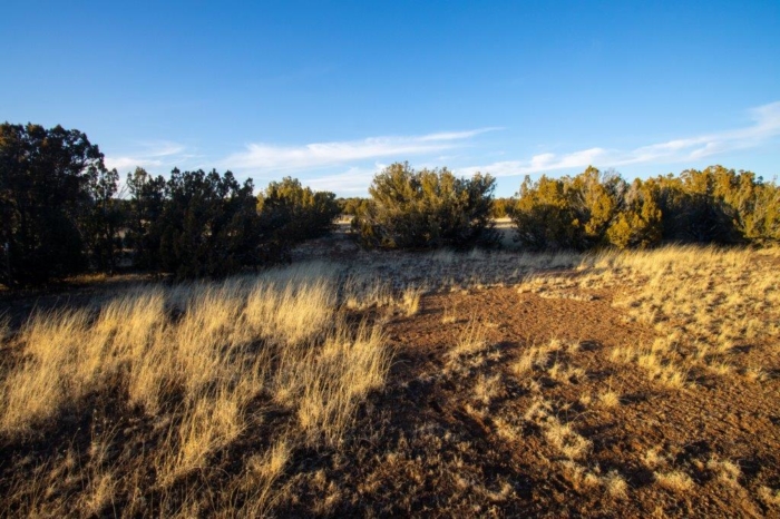 AZ, Apache, 20.36 Acres, 034b 20.36 Acres, Apache, Arizona 107-51-034b - Image 9