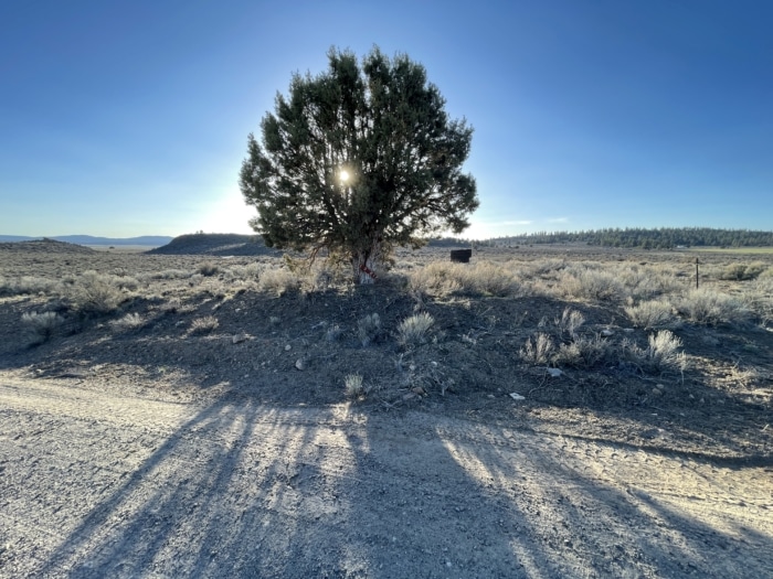 Beatty Oregon, 2.33 Acres, R355626 - Image 12