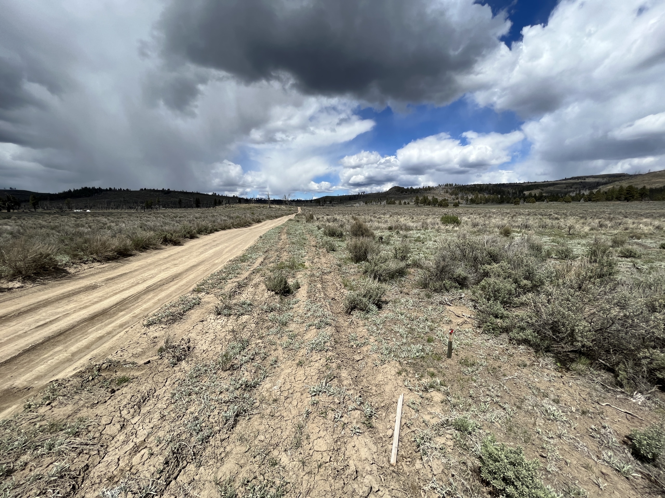 2.55 Acres, Klamath County, Oregon, R265493 2.55 Acres, Klamath, Oregon R265493 - Image 20
