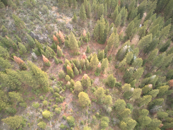 3.39 Acres, Klamath County, Oregon, R383356