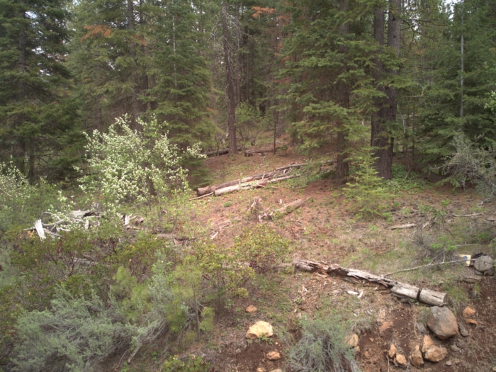 3.39 Acres, Klamath County, Oregon, R383356 - Image 10