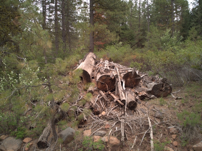 3.39 Acres, Klamath County, Oregon, R383356 - Image 13
