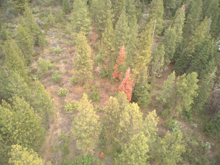 3.39 Acres, Klamath County, Oregon, R383356 - Image 16