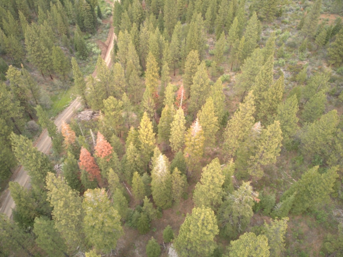 3.39 Acres, Klamath County, Oregon, R383356 - Image 20