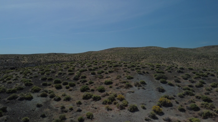 40 Acres, Lyon Nevada, 18 - Image 4