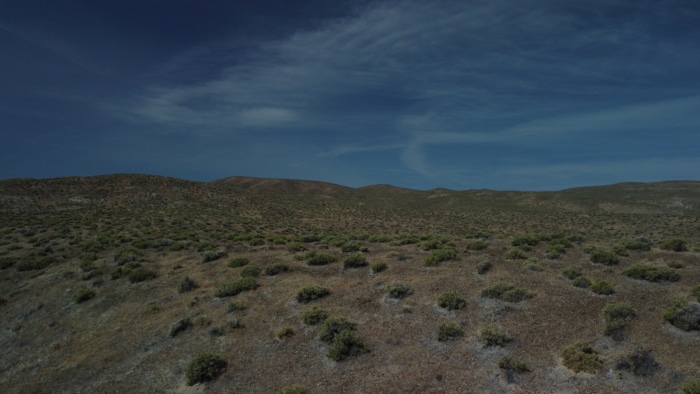 40 Acres, Lyon Nevada, 18 - Image 7