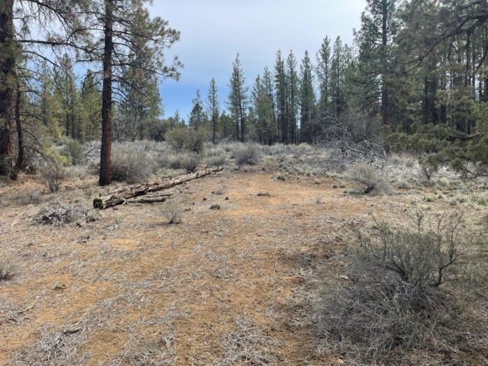 2.47 Acres, Klamath County, Oregon, R270138 2.47 Acres, Klamath, Oregon R270138 - Image 8