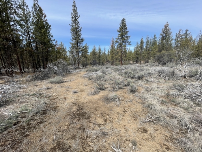 2.47 Acres, Klamath County, Oregon, R270138 2.47 Acres, Klamath, Oregon R270138 - Image 9