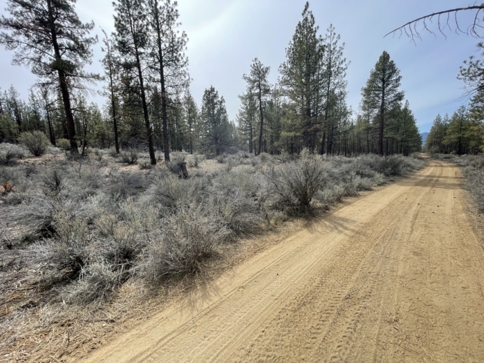 2.47 Acres, Klamath County, Oregon, R270138 2.47 Acres, Klamath, Oregon R270138 - Image 10