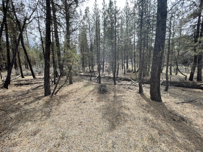 2.47 Acres, Klamath County, Oregon, R270138 2.47 Acres, Klamath, Oregon R270138 - Image 13