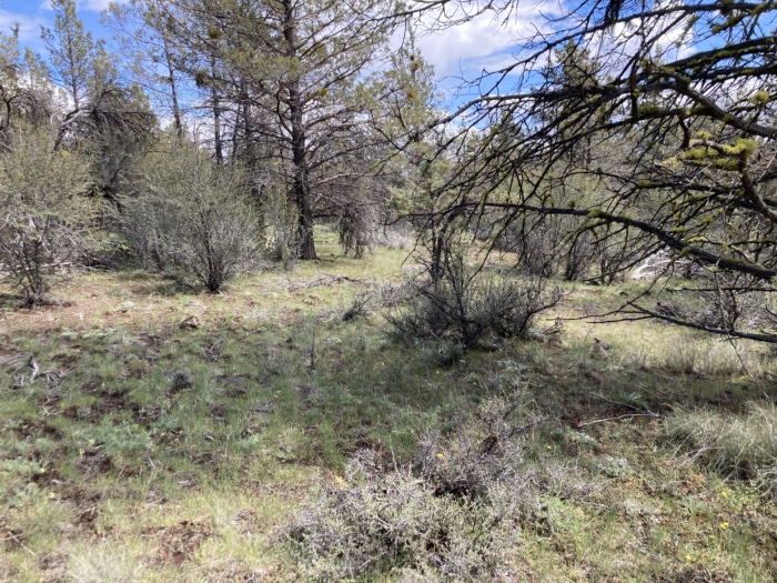 Epic Views, Endless Adventure 10.15 Acres, Klamath, Oregon R388681 - Image 2