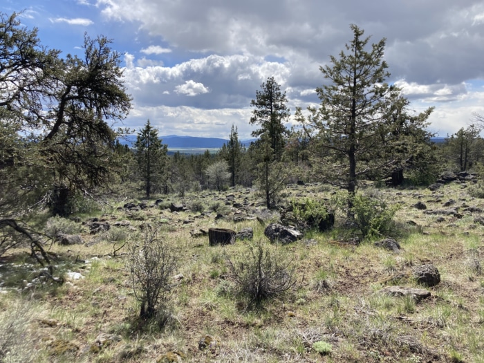 Epic Views, Endless Adventure 10.15 Acres, Klamath, Oregon R388681 - Image 3