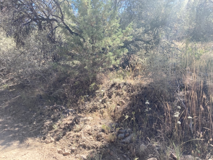 2.61 Acres, Klamath County, Oregon, R465669 2.61 Acres, Klamath, Oregon R465669 - Image 4