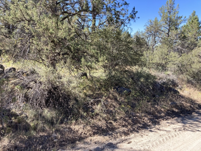2.61 Acres, Klamath County, Oregon, R465669 2.61 Acres, Klamath, Oregon R465669 - Image 5