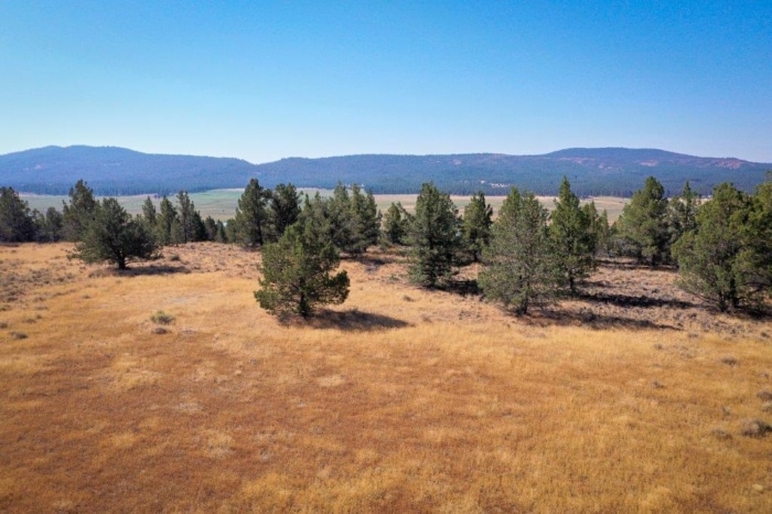 2.29 Acres, Klamath County, Oregon, R328844 - Image 3