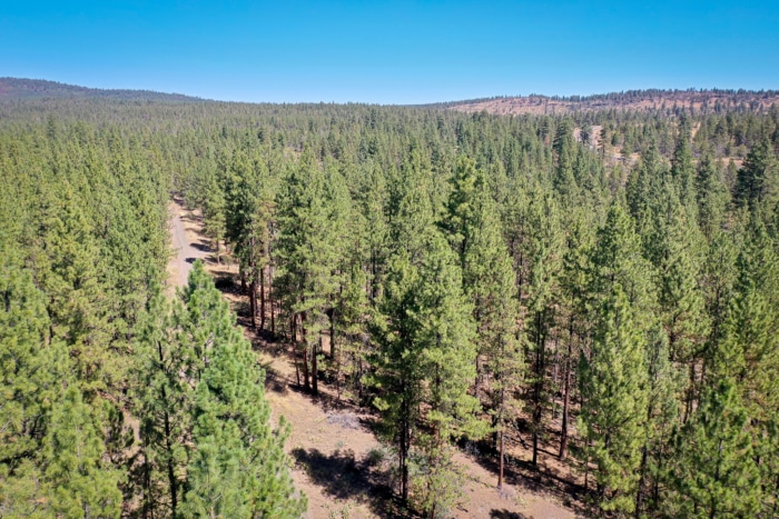 2.74 Acres, Klamath County, Oregon, R400747 2.74 Acres, Klamath, Oregon R400747 - Image 2