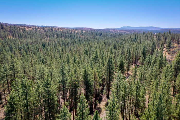 2.74 Acres, Klamath County, Oregon, R400747 2.74 Acres, Klamath, Oregon R400747 - Image 3