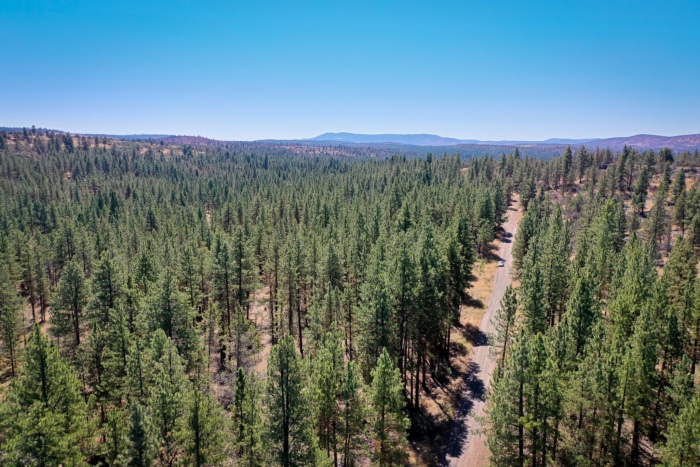 2.74 Acres, Klamath County, Oregon, R400747 2.74 Acres, Klamath, Oregon R400747 - Image 4