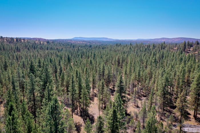 2.74 Acres, Klamath County, Oregon, R400747 2.74 Acres, Klamath, Oregon R400747 - Image 5